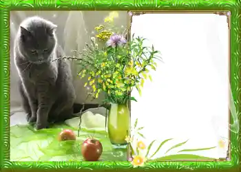 Фотоефект з категорії Весна № 982