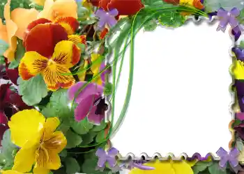 Фотоефект з категорії Весна № 983