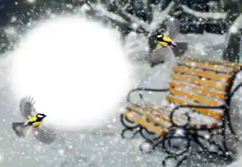 Фотоефект з категорії Зима № 191760