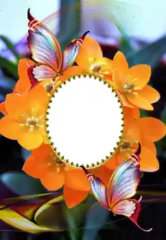 Фотоефект з категорії Жіночі фоторамки № 105575