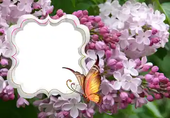 Фотоефект з категорії Жіночі фоторамки № 114264 Фотоефект з категорії Жіночі фоторамки № 114264