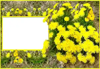 Фотоефект з категорії Жіночі фоторамки № 116202 Фотоефект з категорії Жіночі фоторамки № 116202