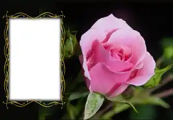 Фотоефект з категорії Жіночі фоторамки № 126936