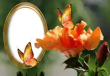 Фотоефект з категорії Жіночі фоторамки № 131127 Фотоефект з категорії Жіночі фоторамки № 131127