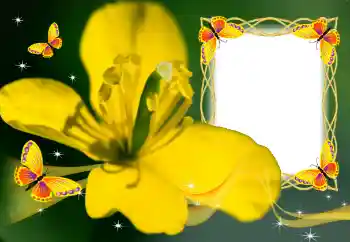 Фотоефект з категорії Жіночі фоторамки № 132883 Фотоефект з категорії Жіночі фоторамки № 132883