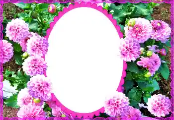 Фотоефект з категорії Жіночі фоторамки № 135504 Фотоефект з категорії Жіночі фоторамки № 135504