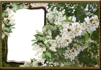 Фотоефект з категорії Жіночі фоторамки № 16069