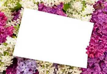 Фотоефект з категорії Жіночі фоторамки № 175408