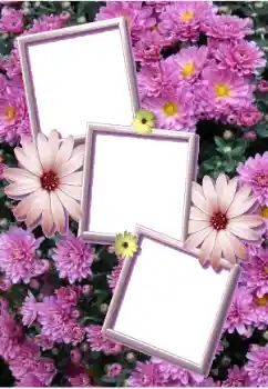 Фотоефект з категорії Жіночі фоторамки № 205803 Фотоефект з категорії Жіночі фоторамки № 205803