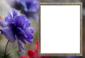Фотоефект з категорії Жіночі фоторамки № 206189