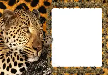 Фотоефект з категорії Жіночі фоторамки № 214 Фотоефект з категорії Жіночі фоторамки № 214