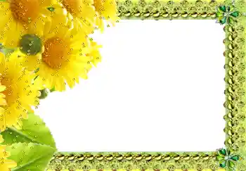 Фотоефект з категорії Жіночі фоторамки № 217 Фотоефект з категорії Жіночі фоторамки № 217