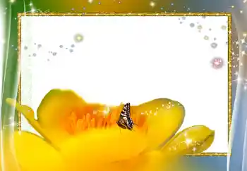 Фотоефект з категорії Жіночі фоторамки № 278 Фотоефект з категорії Жіночі фоторамки № 278