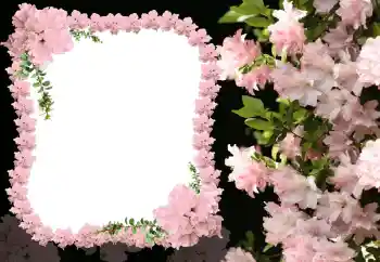 Фотоефект з категорії Жіночі фоторамки № 31824 Фотоефект з категорії Жіночі фоторамки № 31824