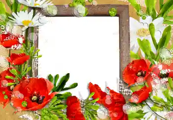 Фотоефект з категорії Жіночі фоторамки № 3491 Фотоефект з категорії Жіночі фоторамки № 3491
