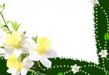 Фотоефект з категорії Жіночі фоторамки № 35016