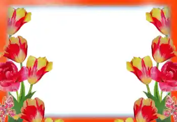 Фотоефект з категорії Жіночі фоторамки № 49414