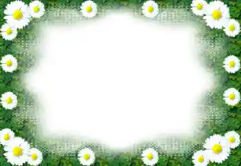 Фотоефект з категорії Жіночі фоторамки № 49443