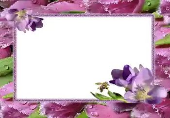 Фотоефект з категорії Жіночі фоторамки № 5506 Фотоефект з категорії Жіночі фоторамки № 5506