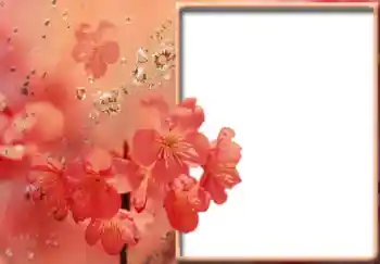 Фотоефект з категорії Жіночі фоторамки № 57711 Фотоефект з категорії Жіночі фоторамки № 57711