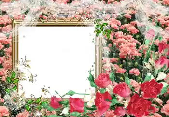 Фотоефект з категорії Жіночі фоторамки № 80390