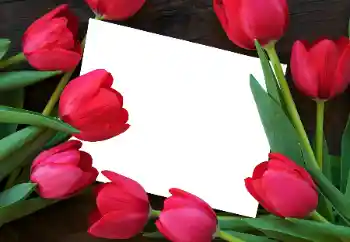Фотоефект з категорії Жіночі фоторамки № 93458