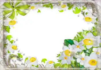 Фотоефект з категорії Жіночі фоторамки № 94724 Фотоефект з категорії Жіночі фоторамки № 94724