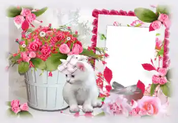 Фотоефект з категорії Жіночі фоторамки № 97470